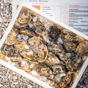 36 PREMIUM LARGE OYSTERS IN A BOX