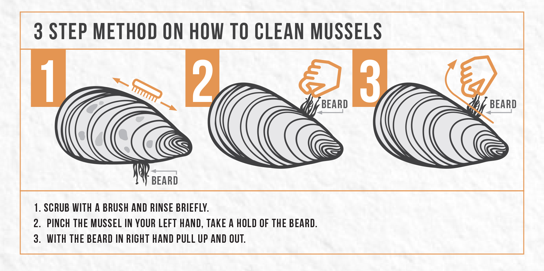 how to clean mussels